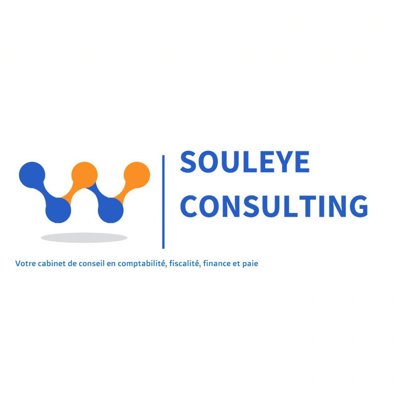 SOULEYE CONSULTING