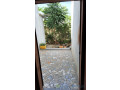 maison-a-vendre-a-mbour-croisement-saly-small-4