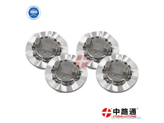 VE cam plate 1 466 110 673