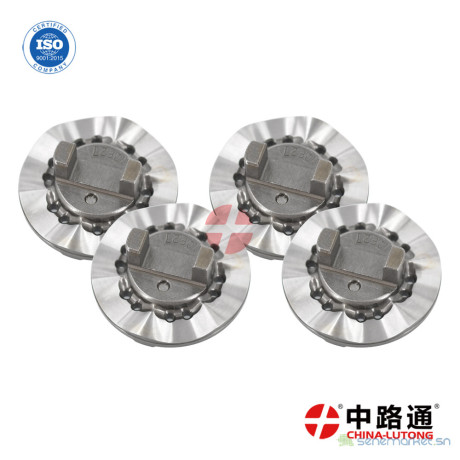 ve-cam-plate-1-466-110-673-big-0