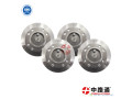 camplate-146220-0420-small-0