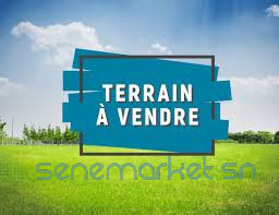 terrain-a-malika-big-0