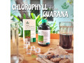 jus-de-chlorophylle-500ml-detoxifiant-naturel-small-1