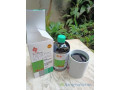 jus-de-chlorophylle-500ml-detoxifiant-naturel-small-0