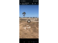 terrains-a-vendre-a-dakar-a-partir-de-1000000-small-0