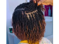 twist-a-saly-small-1