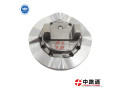 ve-pump-cam-plate-146220-4820-small-0