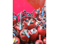 vente-materiel-de-securite-incendie-small-0