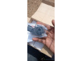 capteur-accelerateur-camion-renault-dxi-small-2
