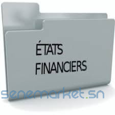 montage-des-etats-financiers-pour-les-pme-big-0