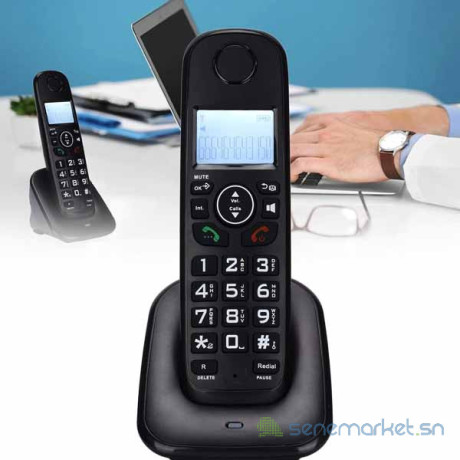telephone-fixe-sans-fil-d1001-big-0