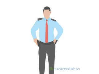 Recherche d'emploi de gardien3