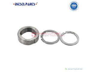 Diesel Injection System Parts Cam Ring 7123-309D