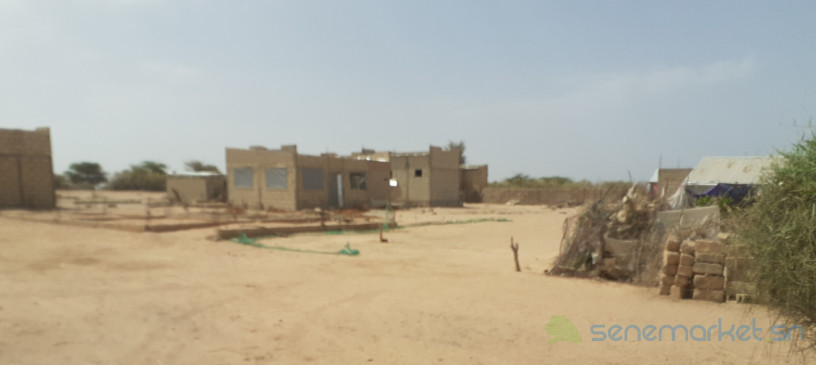 terrains-a-touba-big-4