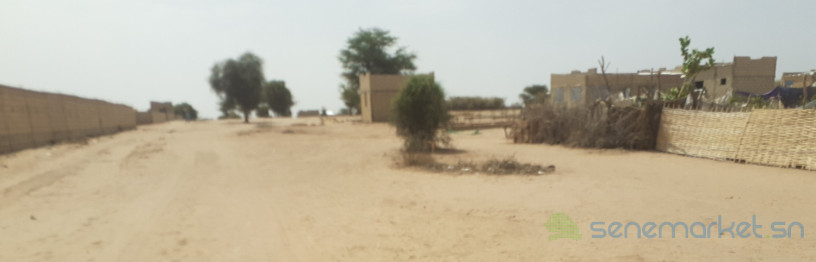 terrains-a-touba-big-3