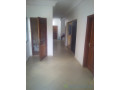 loue-appartement-mariste-small-0