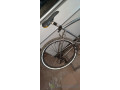 velo-small-4