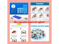 produits-anti-cafards-et-punaises-small-1