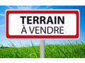 terrain-a-usage-agricole-a-vendre-small-0