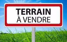 terrain-a-usage-agricole-a-vendre-big-0