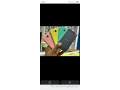 redmi-note-1s-small-0