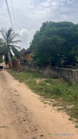 terrain-de-194-metres-carres-a-vendre-a-saly-senegal-big-2