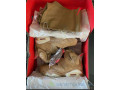 jordan-6-travis-scott-authentique-small-2