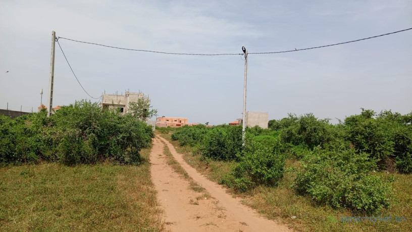 terrain-de-450-metres-carres-a-vendre-a-saly-joseph-keur-youngar-big-3