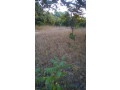 lot-1225-m2-small-0