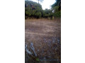 lot-1225-m2-small-4