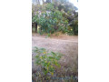 lot-1225-m2-small-1