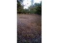 lot-1225-m2-small-3