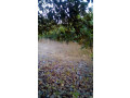 lot-1225-m2-small-2