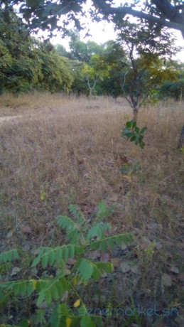lot-1225-m2-big-0