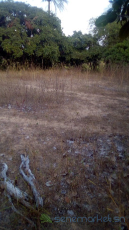 lot-1225-m2-big-4