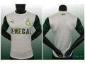 maillots-de-foot-small-1