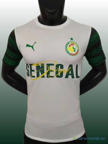 maillots-de-foot-big-0