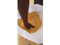 mais-importe-et-mais-local-en-grande-quantite-small-0