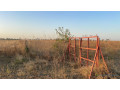 champ-de-1-hectare-et-demi-a-vendre-a-gudji-vers-mbodiene-senegal-small-3
