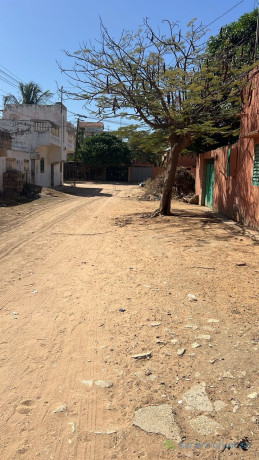 terrain-de-320-metres-carres-a-vendre-a-mbour-senegal-big-1