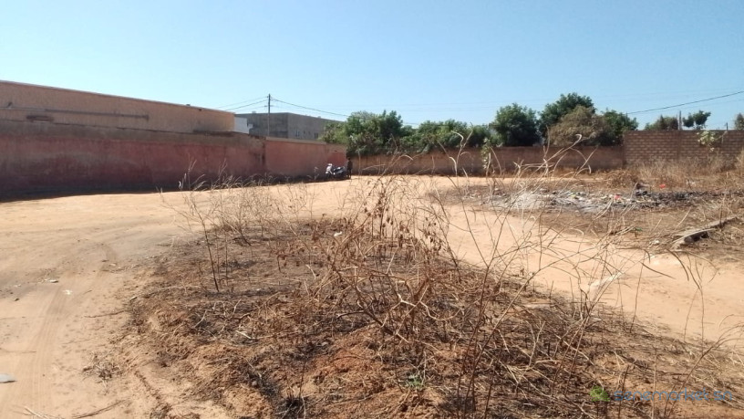 terrain-de-983-metres-carres-a-vendre-a-ngaparou-senegal-big-2