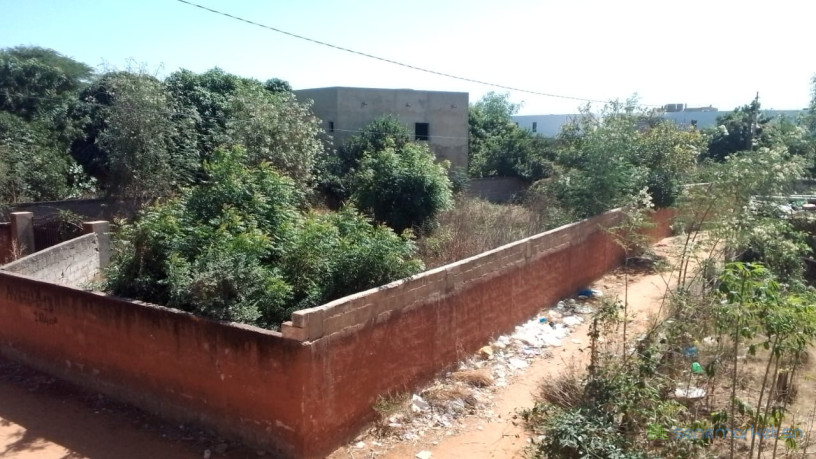terrain-de-1124-metres-carres-a-vendre-a-ngaparou-senegal-big-2
