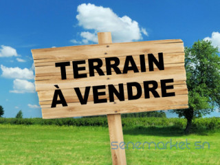 TERRAIN A VENDRE 164 M2 A DIAMALAYE