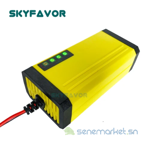 chargeur-batterie-moto-et-scooter-big-2