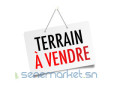 terrain-a-vendre-ndiorokh-small-0