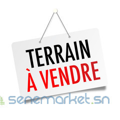 terrain-a-vendre-ndiorokh-big-0