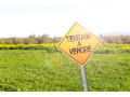 je-vends-des-lots-de-terrains-small-2