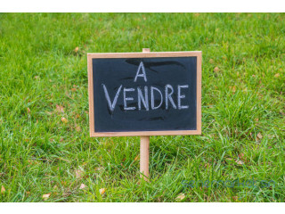 Je vends des lots de terrains