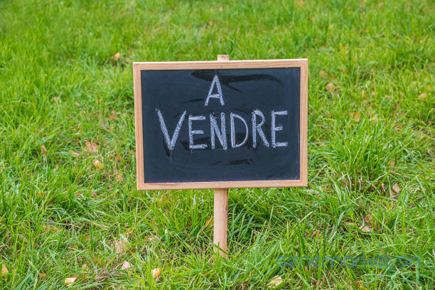 je-vends-des-lots-de-terrains-big-0
