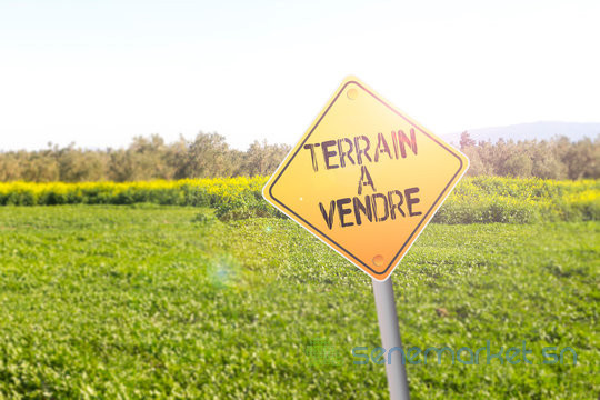 je-vends-des-lots-de-terrains-big-2